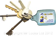 Mr Locks Keyring